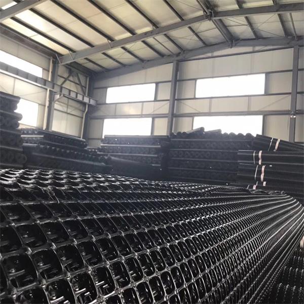 Good User Reputation for Building Coating - PP BIAXIAL GEOGRID – Hongyuan